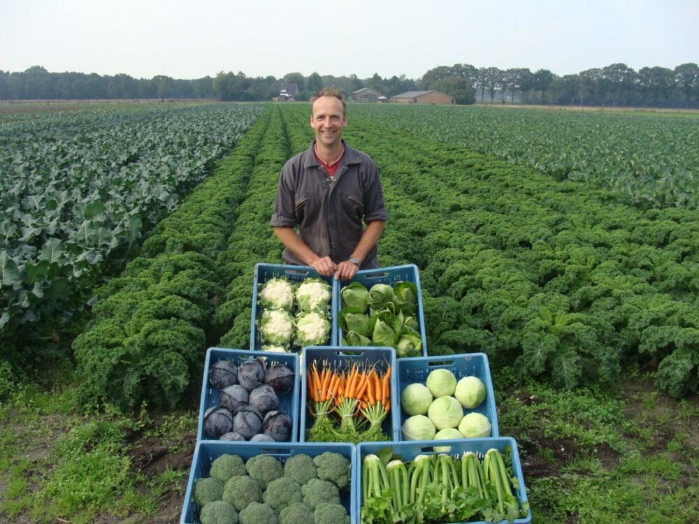 De Reijse Heerlijckheid - Gemert