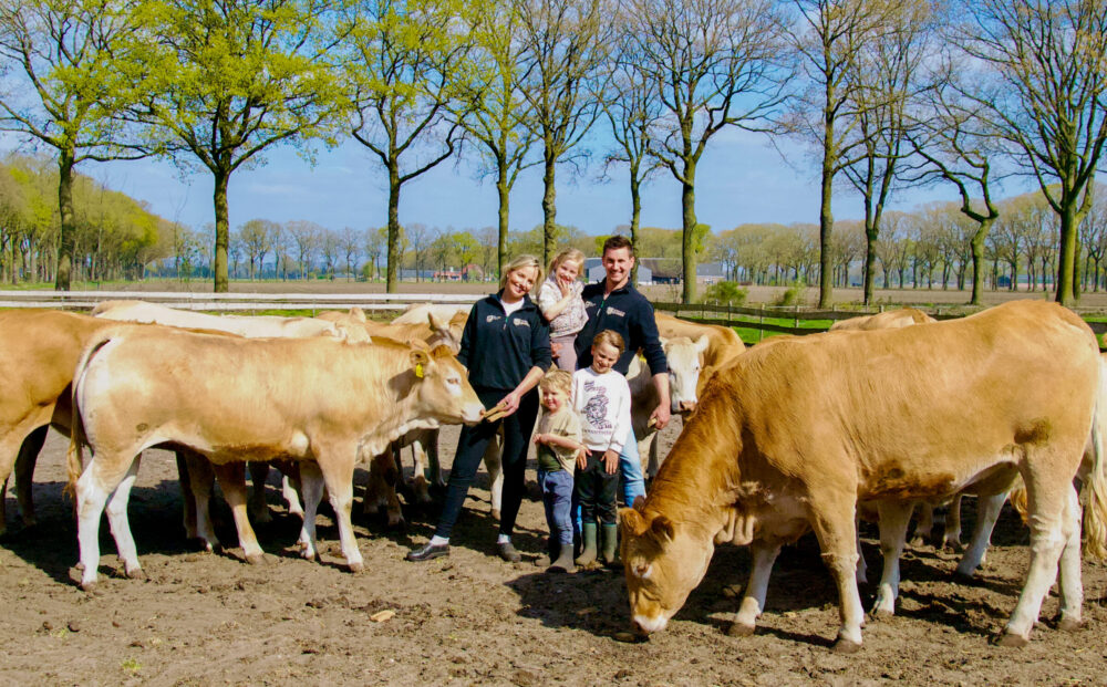 Hemelrijk Blondes
