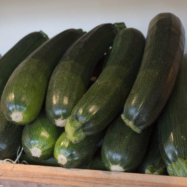 Courgette