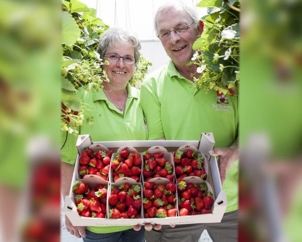 Van Enckevort aardbeien