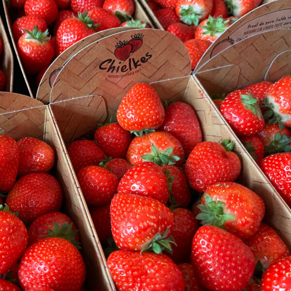 aardbeien.jpg