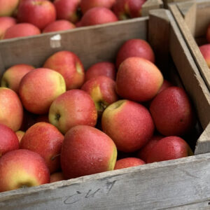 appels.jpg