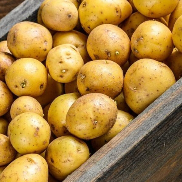 blanke-krieltjes-500g.jpg
