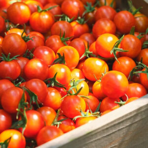 cherry-tomaatjes.jpg