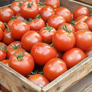gewone-tomaten-1.jpg