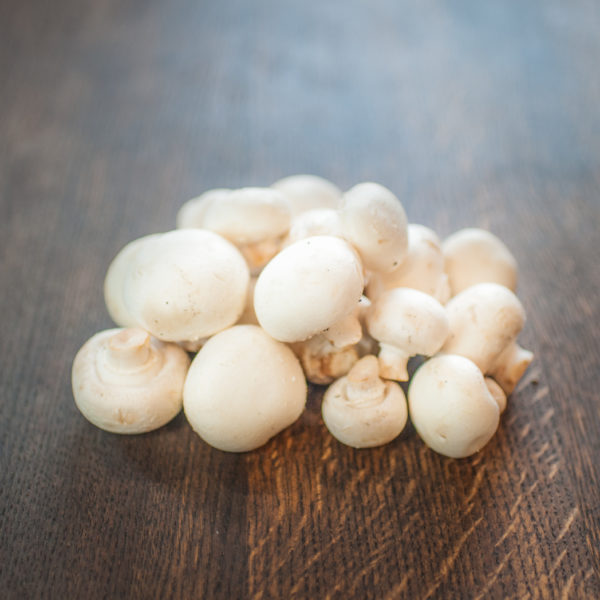 Witte Champignons