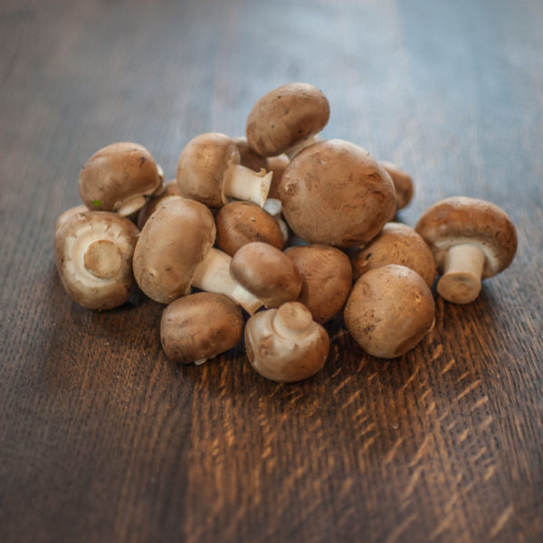 Kastanje champignons