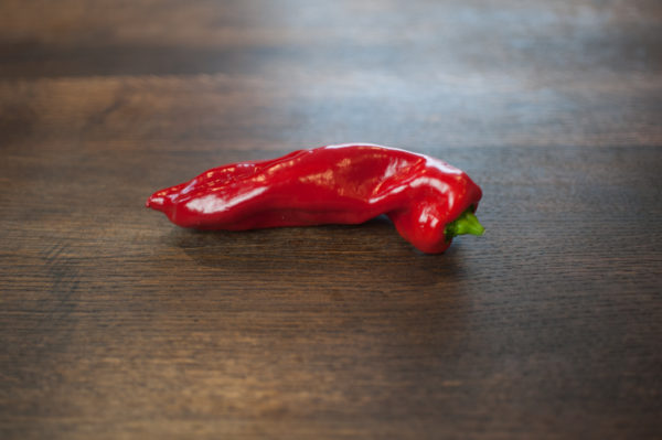 Puntpaprika