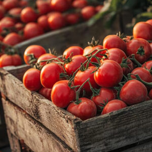 tros-tomaten.jpg