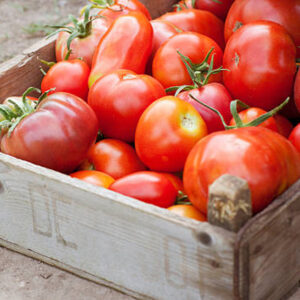 vlees-tomaten.jpg
