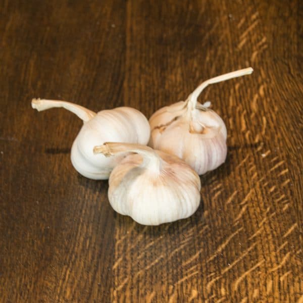 Verse Knoflook