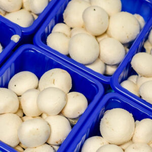 witte-champignons.jpg
