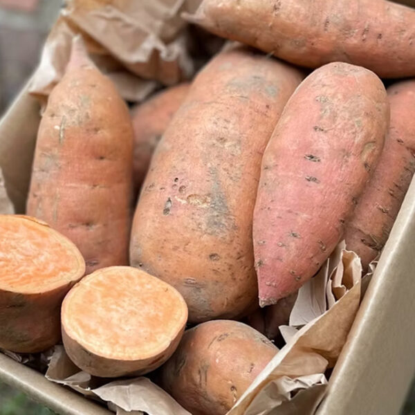 zoete-aardappels.jpg